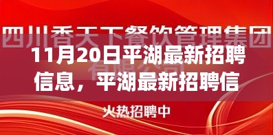 平湖人才盛宴，最新招聘信息发布，掀起就业热潮，11月20日盛大启动！