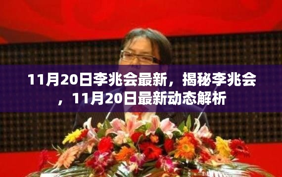 揭秘李兆会，最新动态解析（11月20日更新）