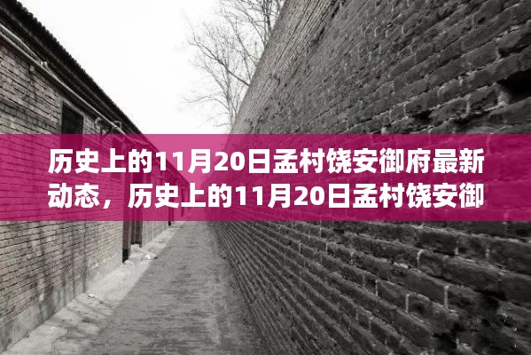 历史上的11月20日孟村饶安御府最新动态揭秘，开启新篇章的全面解读