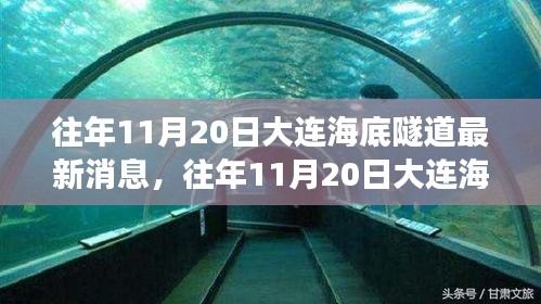 大连海底隧道建设进展深度解析，最新消息与进展报告（往年11月20日）