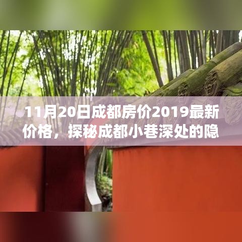 探秘成都小巷深处的隐藏宝藏，特色小店的房价故事与独特环境（最新成都房价2019）