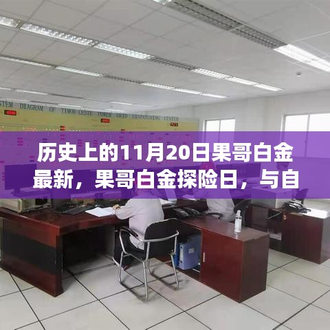 果哥白金探险日，与自然美景的不解之缘，11月20日踏上内心平静之旅