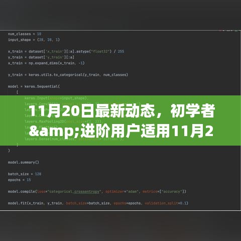 初学者与进阶用户指南，最新动态步骤指南，完成新任务或学习新技能的详细步骤（11月20日更新）