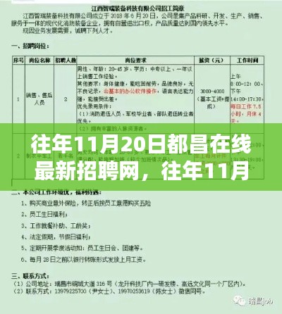 往年11月20日都昌在线招聘网概览，最新招聘动态与求职策略分享