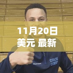 11月20日美元最新动态解析，市场影响深入剖析