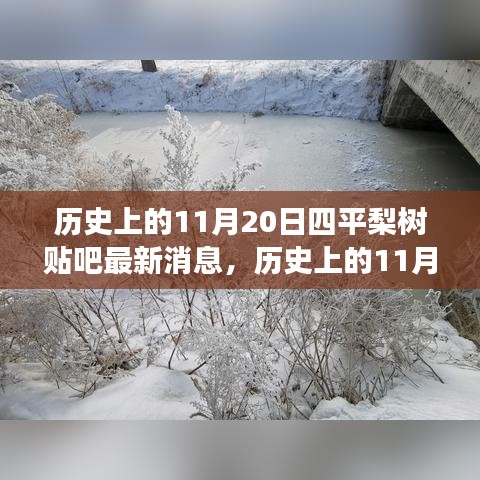 历史上的11月20日，四平梨树贴吧最新消息，激发潜能的变化力量