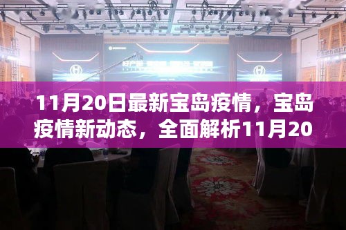 宝岛疫情最新动态解析，11月20日数据全面解读