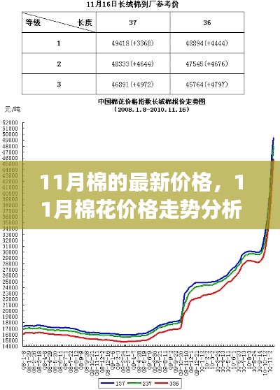 11月棉花价格走势分析，最新动态、市场洞察与价格预测