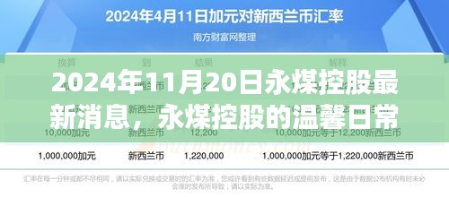 永煤控股的最新动态，温馨日常与奇遇的情感纽带纪事（2024年11月20日）