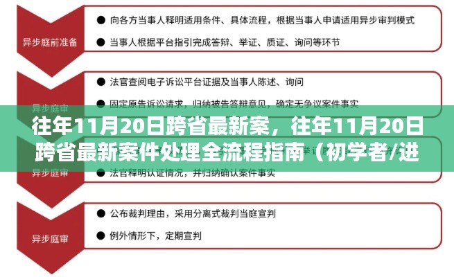 往年11月20日跨省案件处理全流程详解，从案件到解决，初学者与进阶用户必备指南