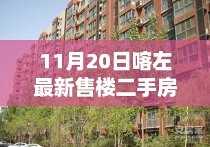 11月20日喀左最新售楼二手房深度解析与评测