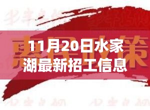 水家湖最新招工信息深度解析，特性、用户体验与目标受众分析