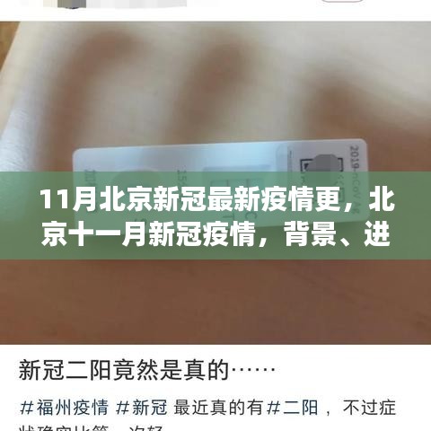 北京十一月新冠疫情背景、进展与影响深度解析