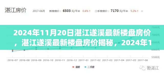 湛江遂溪最新楼盘房价揭秘，市场走势分析与预测（2024年11月20日）