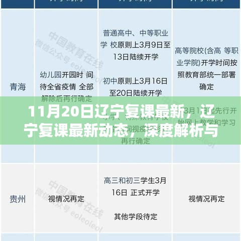 辽宁复课最新动态深度解析与观点阐述（11月20日更新）