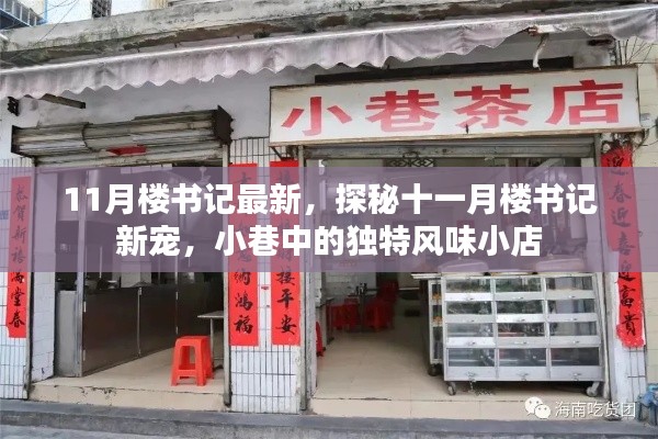 探秘十一月楼书记新宠，小巷独特风味小店揭秘