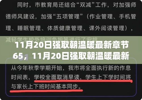 版权与分享热议，11月20日强取朝温暖最新章节65