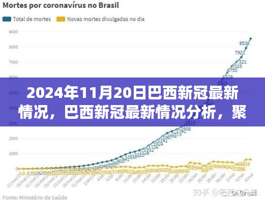 2024年11月20日巴西新冠疫情最新动态与深度分析