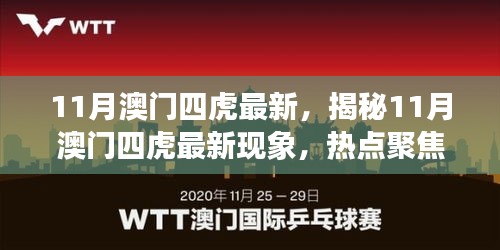 揭秘热点，11月澳门四虎最新现象深度解读与聚焦