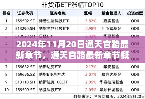 通天官路最新章节概览（2024年11月20日更新）