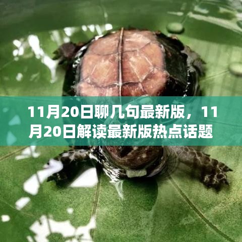 从某某观点解读，11月20日热点话题最新解读