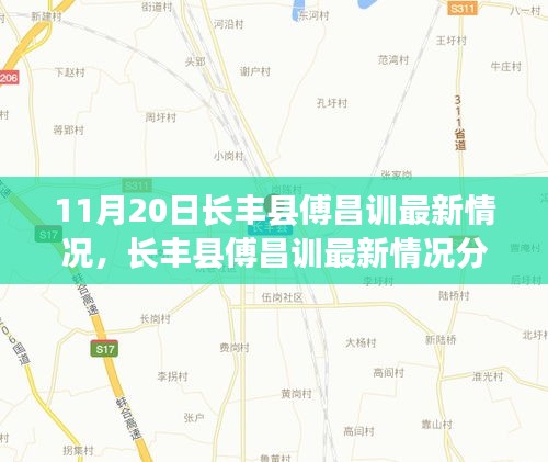 长丰县傅昌训最新情况分析，正反观点与个人立场聚焦