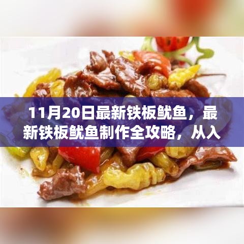 最新铁板鱿鱼制作全攻略，从入门到精通，11月20日更新