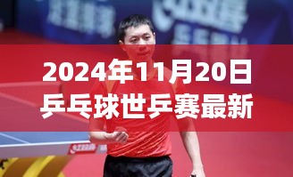 世乒赛最新消息，荣耀与梦想在乒乓球赛场绽放（2024年11月20日）