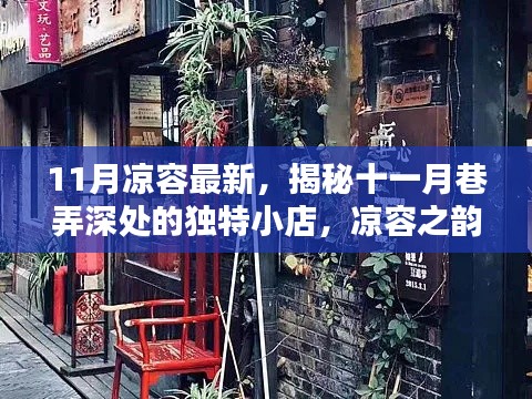 揭秘十一月巷弄深处的独特小店，凉容之韵的十一月新貌