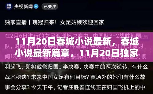 春城小说独家揭秘，最新篇章揭秘