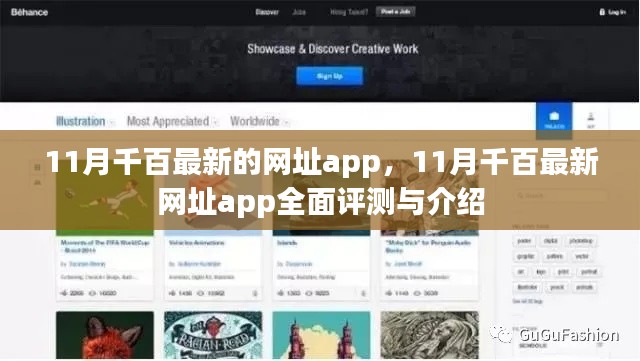 11月千百最新的网址app，11月千百最新网址app全面评测与介绍