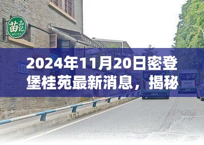 揭秘，密登堡桂苑小巷深处的独特小店，最新消息更新（2024年11月20日）