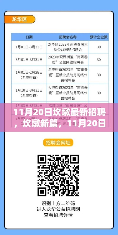 坎墩新篇，11月20日招聘盛况深度解析与最新岗位速递