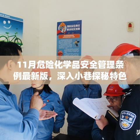 揭秘危险化学品安全管理条例最新版背后的故事，深入小巷探秘特色小店的安全挑战与应对之道