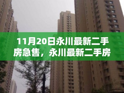 永川最新二手房急售深度解析，三大要点探讨及房源推荐