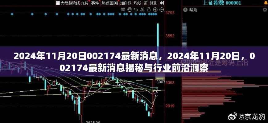 揭秘最新消息，行业前沿洞察与2024年11月20日关于代码002174的最新动态