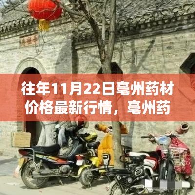 历年11月22日亳州药材市场最新行情深度解析及价格走势预测