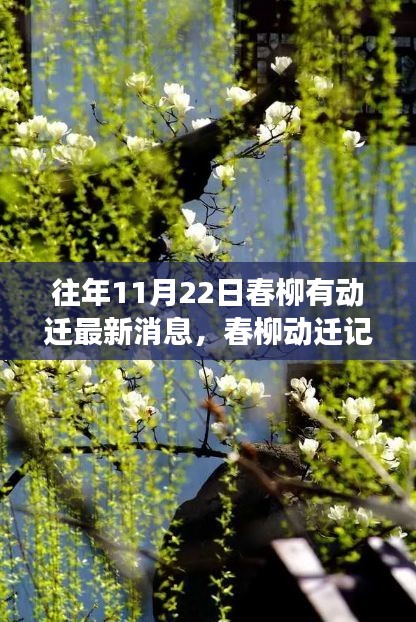 春柳动迁记事，历年11月22日的变迁与影响最新消息速递