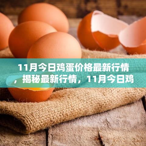 揭秘最新行情，11月鸡蛋价格走势分析与今日价格播报