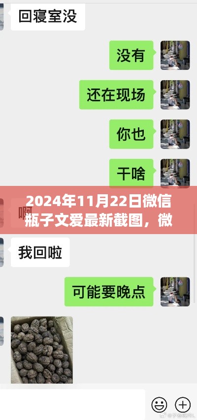 微信瓶子文爱新篇章，启程心灵之旅，探寻自然秘境的最新截图