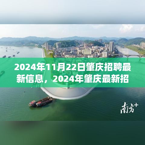 2024年肇庆最新招聘信息汇总，职场人的新选择，11月22日肇庆招聘更新