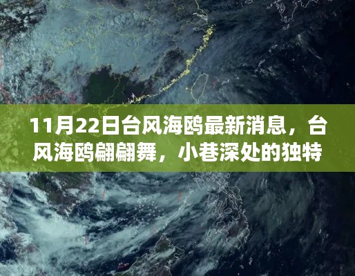 台风海鸥最新动态与小巷美食探秘，翩翩舞动与独特风味体验