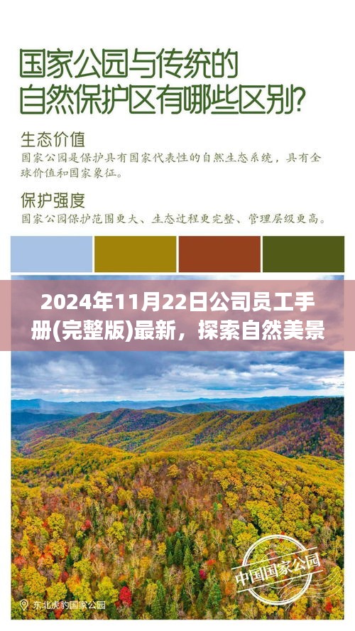 2024年全新员工手册，探索自然美景之旅，启程寻找内心的宁静与平和