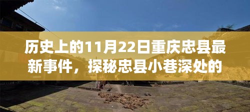 忠县小巷美食盛宴，历史与味蕾的双重体验——11月22日最新事件揭秘