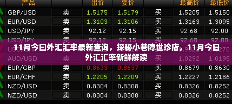 最新外汇汇率解析与小巷隐世珍店探秘，11月今日一览
