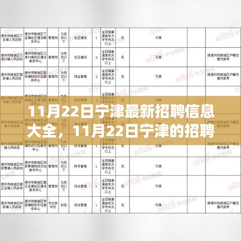 宁津最新招聘奇遇，友情、梦想与家的交响11月22日