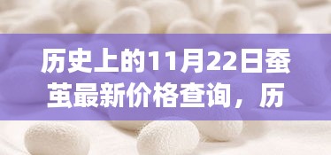 历史上的11月22日蚕茧价格解析，最新价格查询与波动展望