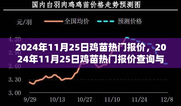 2024年11月25日鸡苗热门报价及选购指南，适合初学者与进阶用户