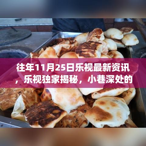 乐视独家揭秘，11月25日小巷深处的隐藏美食宝藏与新鲜资讯汇总！