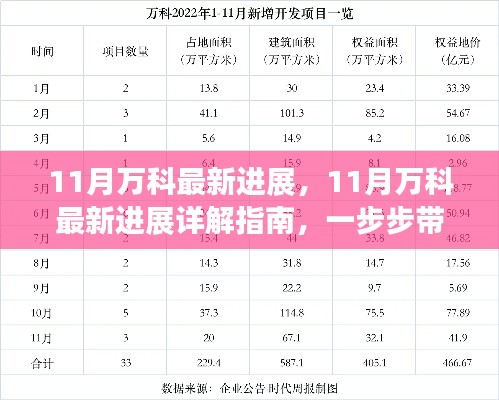 揭秘十一月万科最新进展，详解指南与关键信息解读